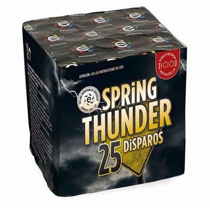 Foto de BATERIA SPRING THUNDER