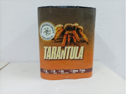 Foto de BATERIA TARANTULA