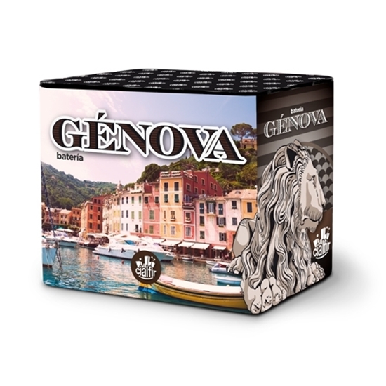 Foto de BATERIA GENOVA